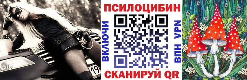 Купить закладки  Юрюзань  Псилоцибиновые грибы Magic Shrooms 